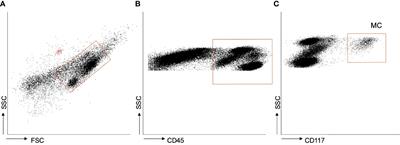 In Obese Patients With Type 2 Diabetes, Mast Cells in Omental Adipose Tissue Decrease the Surface Expression of CD45, CD117, CD203c, and FcϵRI